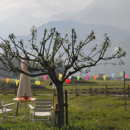 Reichenbachlodge Meiringen Dış mekan fotoğraf